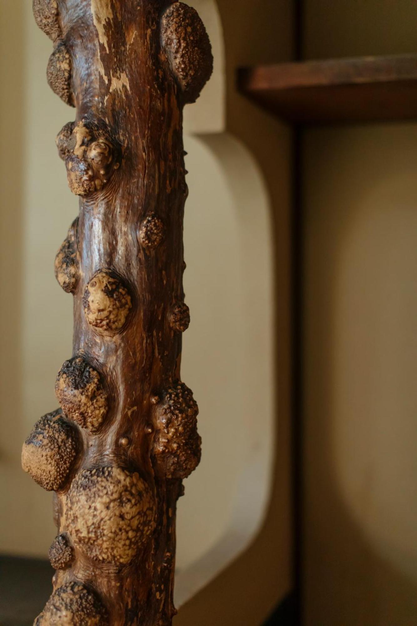 Toshiharu Ryokan Kyoto Ngoại thất bức ảnh